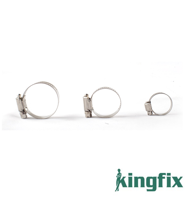 Stainless Steel Hose Clamp